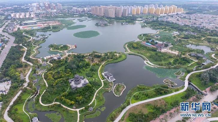 （環境）（1）廢棄污水坑塘變身“城市綠肺”