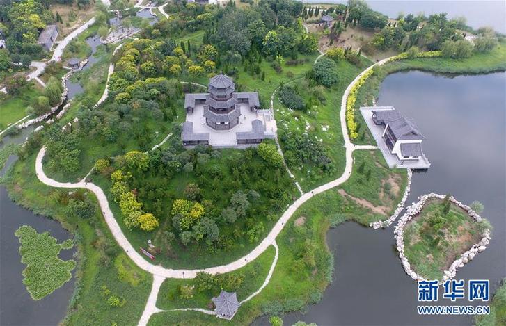 （環(huán)境）（2）廢棄污水坑塘變身“城市綠肺”