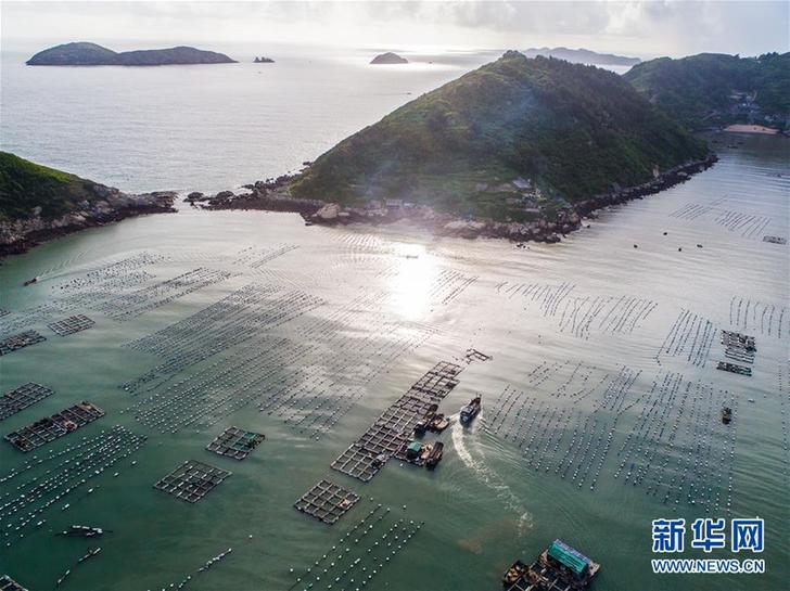 (美麗中國)(2)東?!昂I夏翀觥庇S收