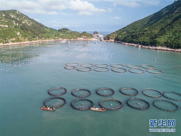 (美麗中國)(6)東?!昂I夏翀觥庇S收