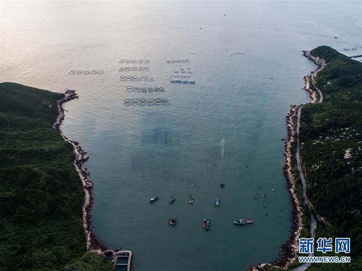 (美麗中國)(9)東?!昂I夏翀觥庇S收