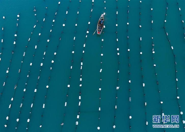 (美麗中國)(14)東?!昂I夏翀觥庇S收