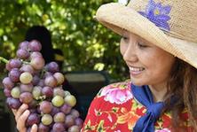 （社會(huì)）（1）葡萄飄香游人多