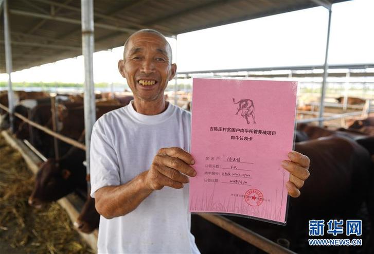（走基層 聽民聲）（5）河北巨鹿：“托養(yǎng)牛”拓寬精準(zhǔn)扶貧路