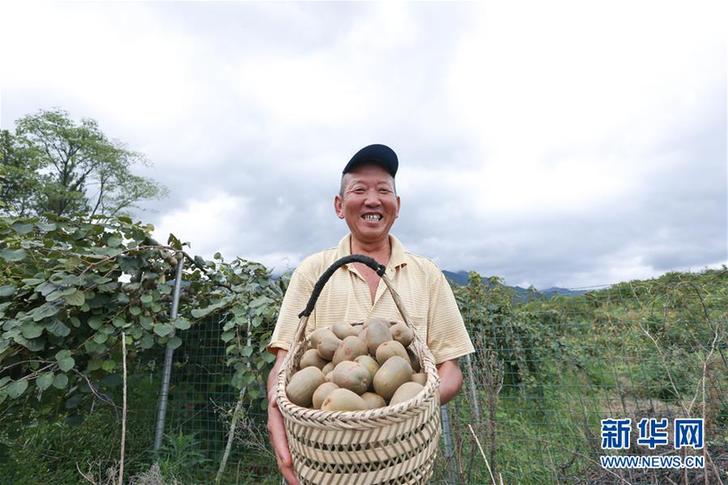 (經濟)(2)江西廬山:產業扶貧促增收