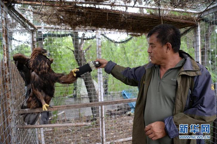 (圖片故事)(4)護(hù)鳥人