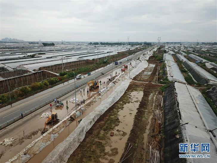 (圖文互動)(3)山東壽光:受災蔬菜大棚排澇提速