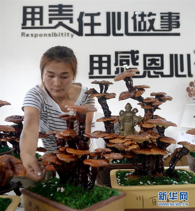 （圖片故事）（6）創業者羅嬋：回到大山 與鄉鄰共同脫貧致富