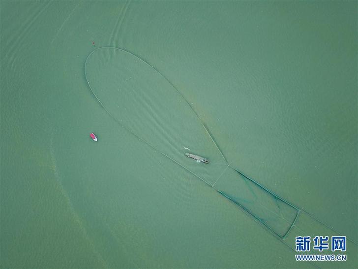 （經濟）（3）湖州太湖漁民迎豐收