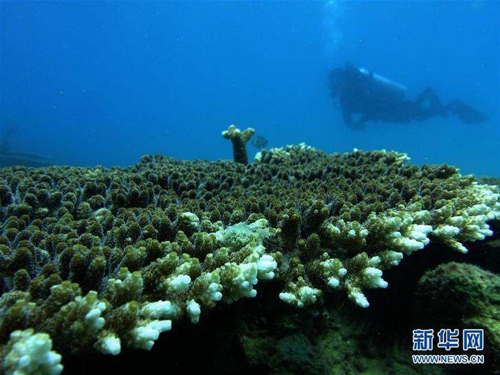 (環(huán)境)(3)“魚”你同行