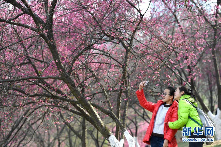 (圖文互動)(2)開放之城 禮讓之城 潔凈之城——中國—東盟博覽會永久舉辦地廣西南寧的15年變遷