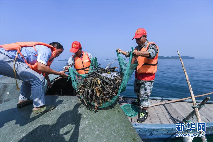 （環境）（1）千島湖“公益船隊”共護“一湖碧水”
