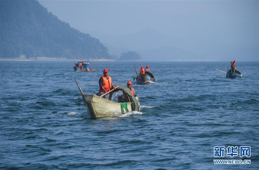 (環(huán)境)(6)千島湖“公益船隊”共護“一湖碧水”