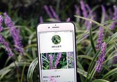（科技）（2）植物園里體驗“拍照識花”