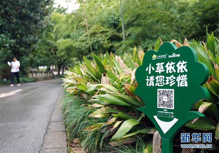 （科技）（3）植物園里體驗“拍照識花”