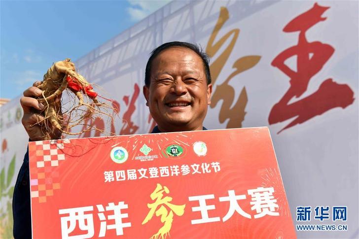 （社會(huì)）（1）山東文登：“參王”爭(zhēng)霸賽