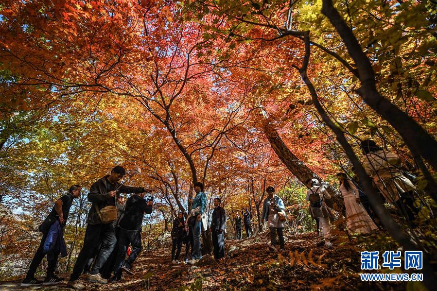 (社會)(8)假日“多棱鏡”
