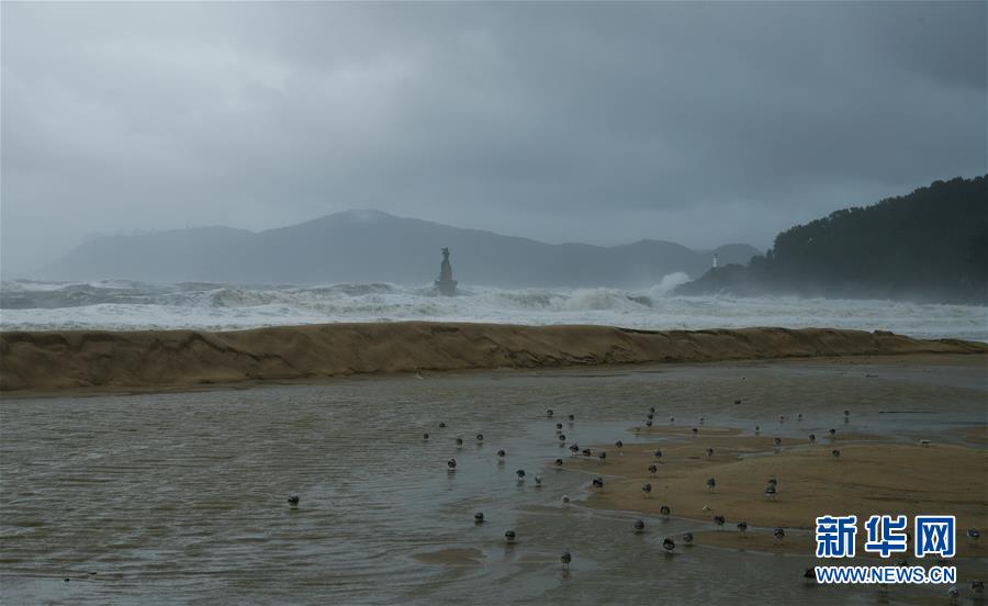 （國際）（3）臺風“康妮”登陸韓國