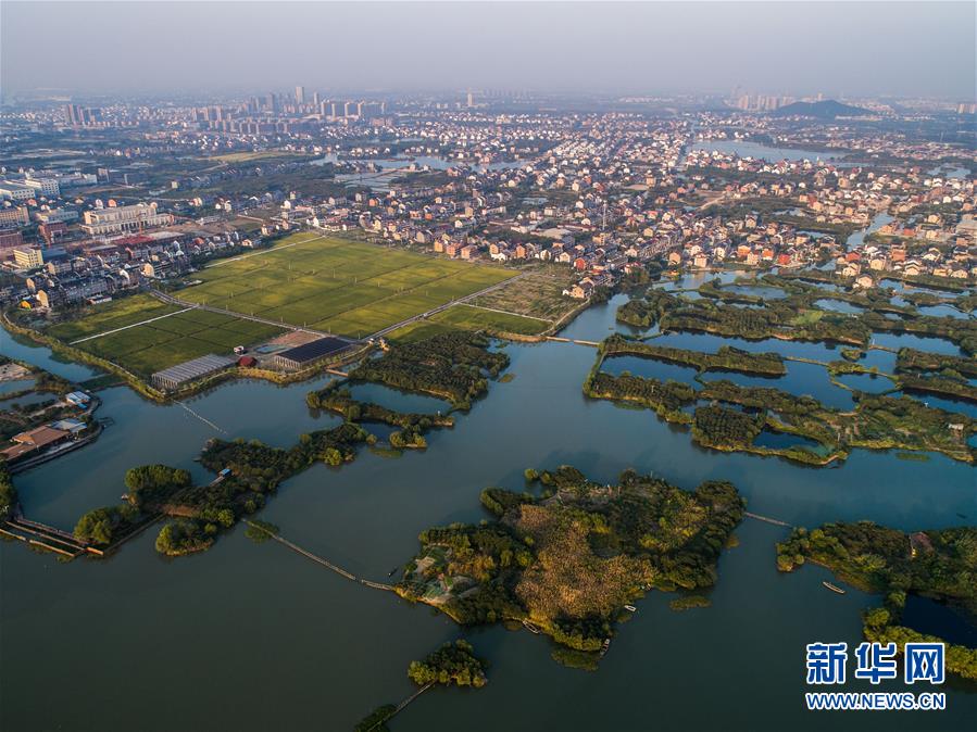 （美麗中國）（3）秋日水鄉展現美麗豐收圖景