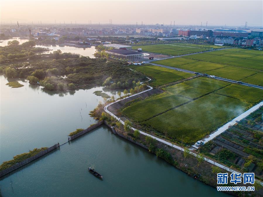 （美麗中國）（4）秋日水鄉展現美麗豐收圖景