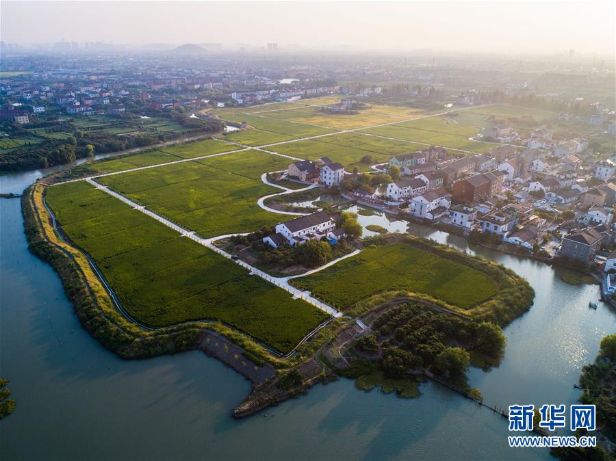 （美麗中國）（5）秋日水鄉展現美麗豐收圖景