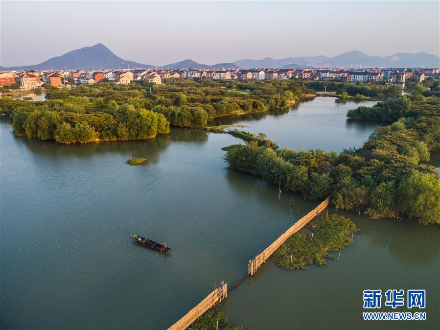 （美麗中國）（6）秋日水鄉展現美麗豐收圖景