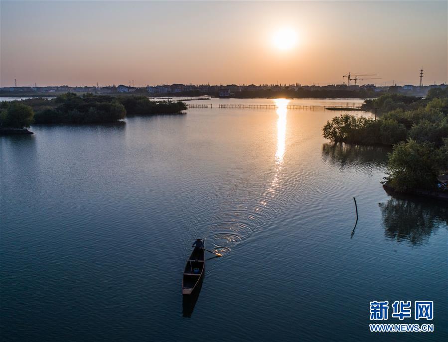 （美麗中國）（8）秋日水鄉展現美麗豐收圖景