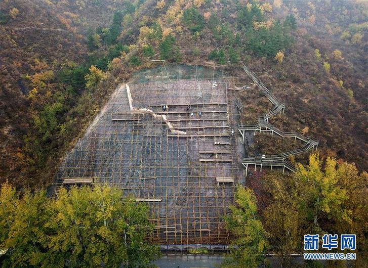 （社會(huì)）（5）中希合作“保育”北京延慶恐龍足跡化石