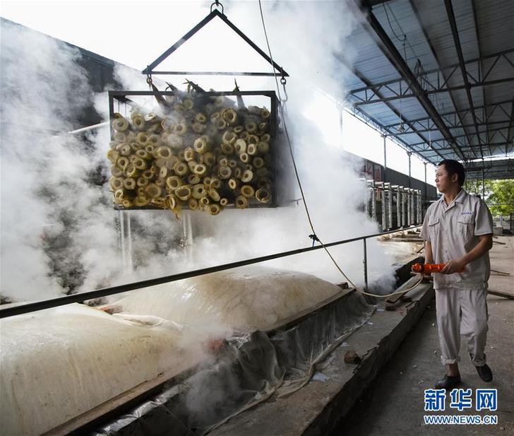 （豐收的味道·圖文互動）（4）重慶榮昌：不一樣的“養豬經”