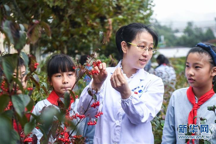 （教育）（1）世界傳統醫藥日 中草藥文化進校園