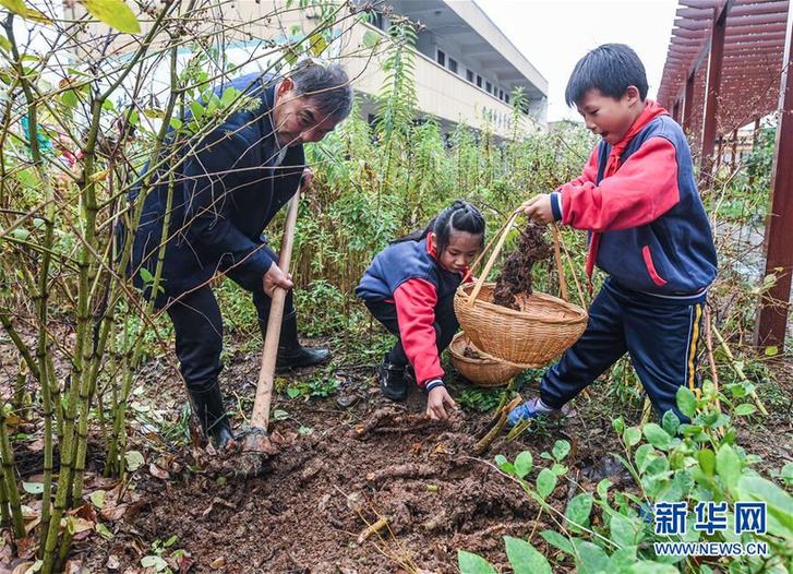 (教育)(4)世界傳統醫藥日 中草藥文化進校園