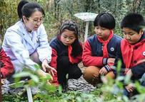 （教育）（3）世界傳統(tǒng)醫(yī)藥日 中草藥文化進(jìn)校園