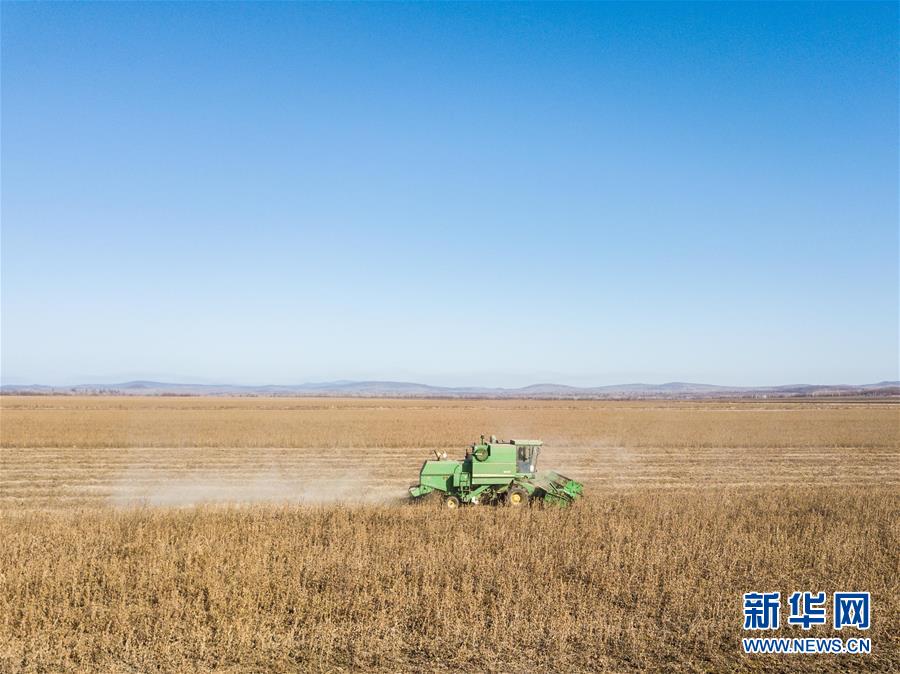 (國際·圖文互動(dòng))(6)通訊:沼澤地變良田 中國人遠(yuǎn)東創(chuàng)奇跡——俄羅斯遠(yuǎn)東一個(gè)荒村的中國式“復(fù)活”