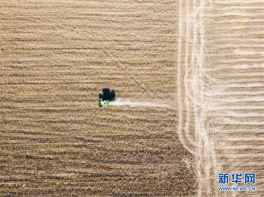 (國際·圖文互動(dòng))(7)通訊:沼澤地變良田 中國人遠(yuǎn)東創(chuàng)奇跡——俄羅斯遠(yuǎn)東一個(gè)荒村的中國式“復(fù)活”