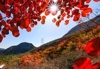 （環境）（1）秋染太行