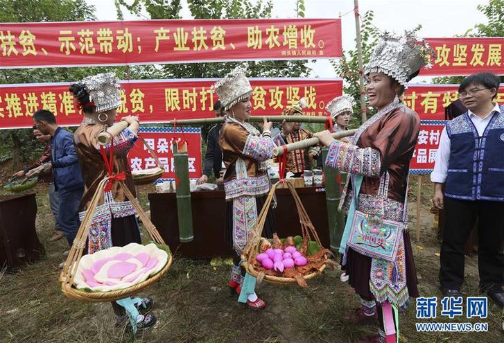 （在習近平新時代中國特色社會主義思想指引下——新時代新作為新篇章）（7）打同年慶豐收