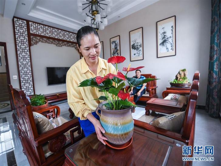 （壯闊東方潮 奮進新時代——慶祝改革開放40年·變遷）（3）改革開放四十年浙江美麗鄉村巨變