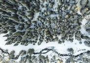 （秋季美麗生態(tài)）（1）烏魯木齊南山雪景美