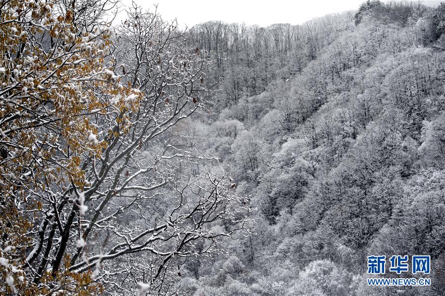 (美麗中國)(6)秦嶺初雪