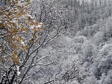 （美麗中國）（6）秦嶺初雪
