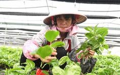 （經(jīng)濟）（1）發(fā)展水果種植 助力脫貧攻堅
