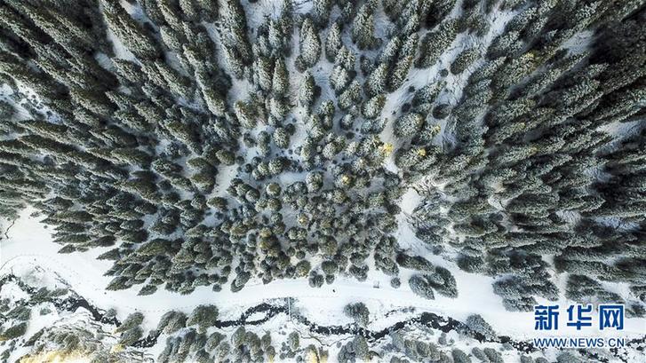 (秋季美麗生態)(1)烏魯木齊南山雪景美