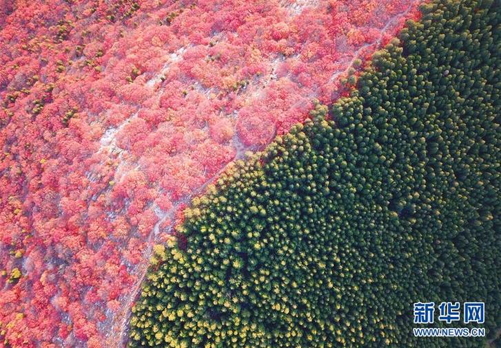 (生態)(1)平分秋色