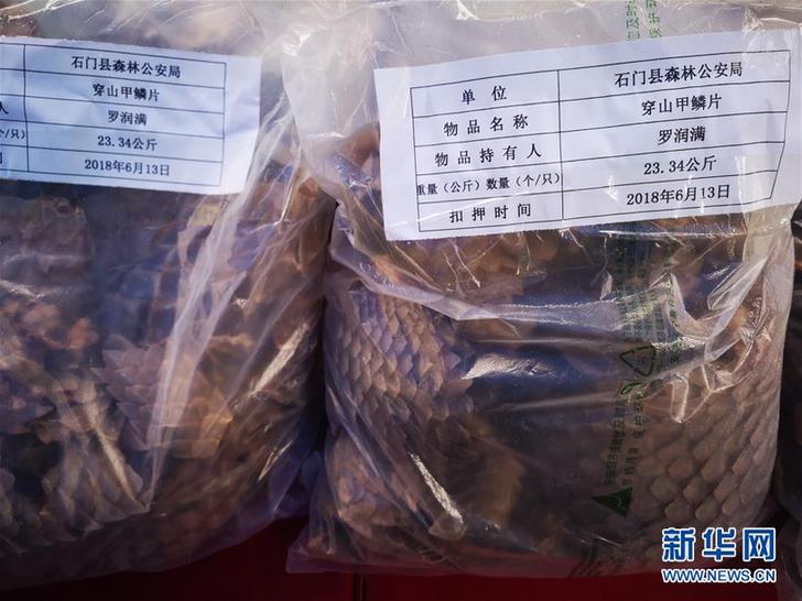 （圖文互動）（3）湖南破獲特大非法販賣穿山甲案