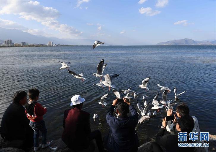（環境）（1）云南大理：洱海景色秀麗