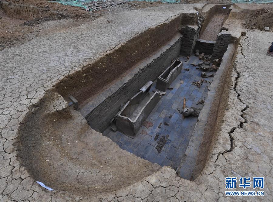 （圖文互動）（1）成都東漢家族墓群發現“搖錢樹”