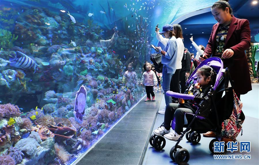 (社會)(4)上海海昌海洋公園開門迎客