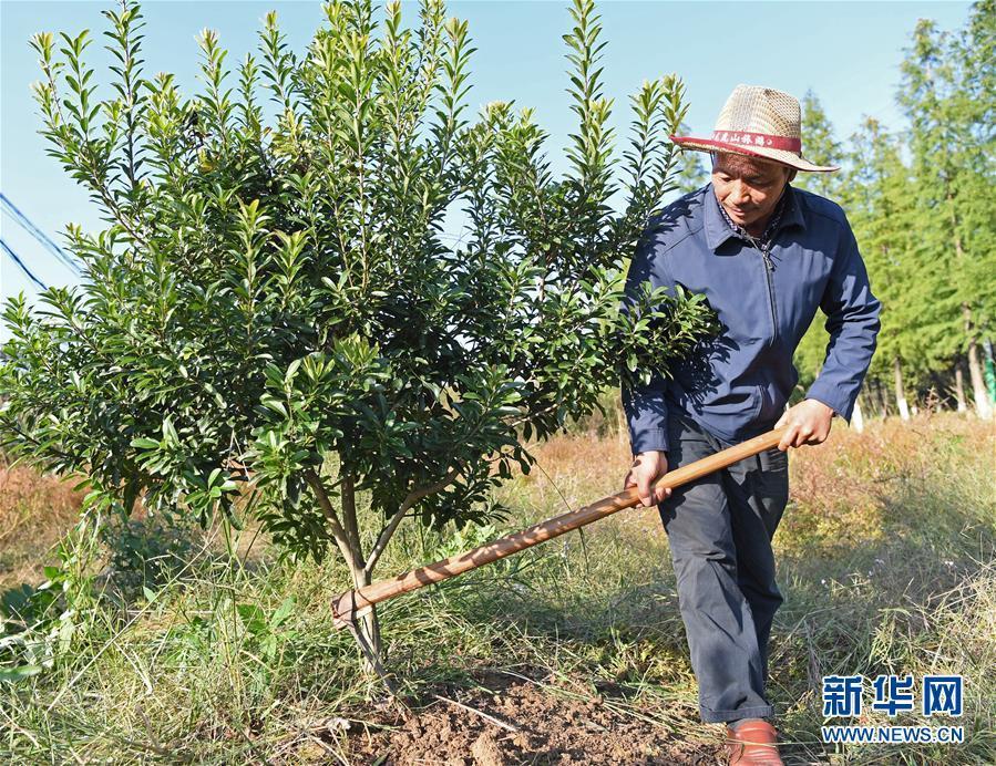 (圖片故事)(4)一蓑煙雨30年——龍虎山船工老舒的幸福生活