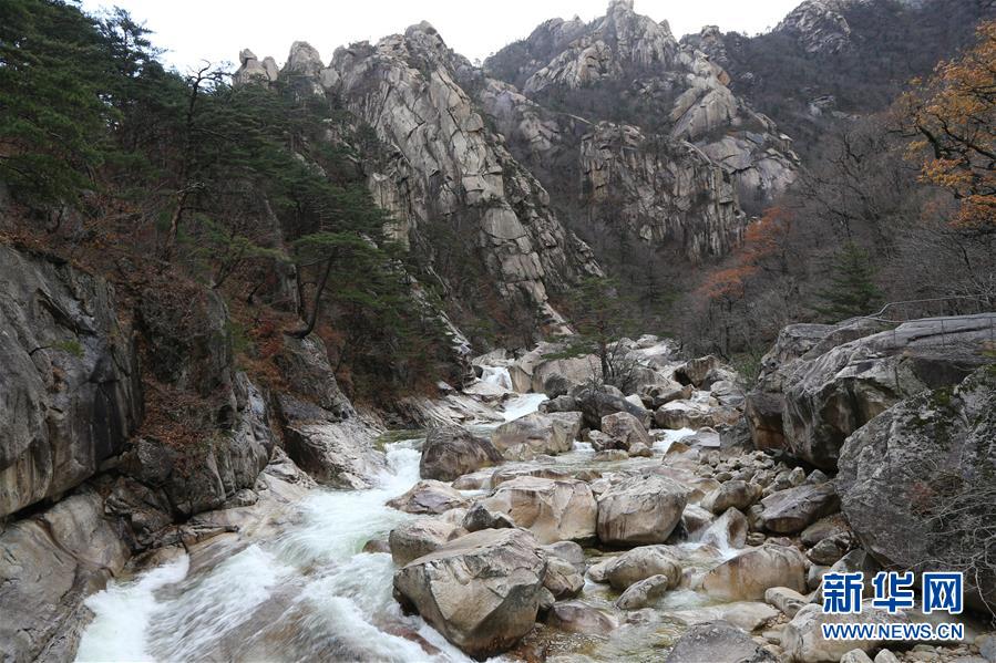 （國際）（1）朝韓舉行金剛山旅游啟動20周年紀念活動