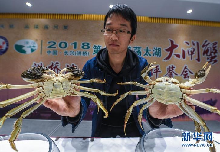 (經濟)(5)生態河蟹鋪就鄉村致富路